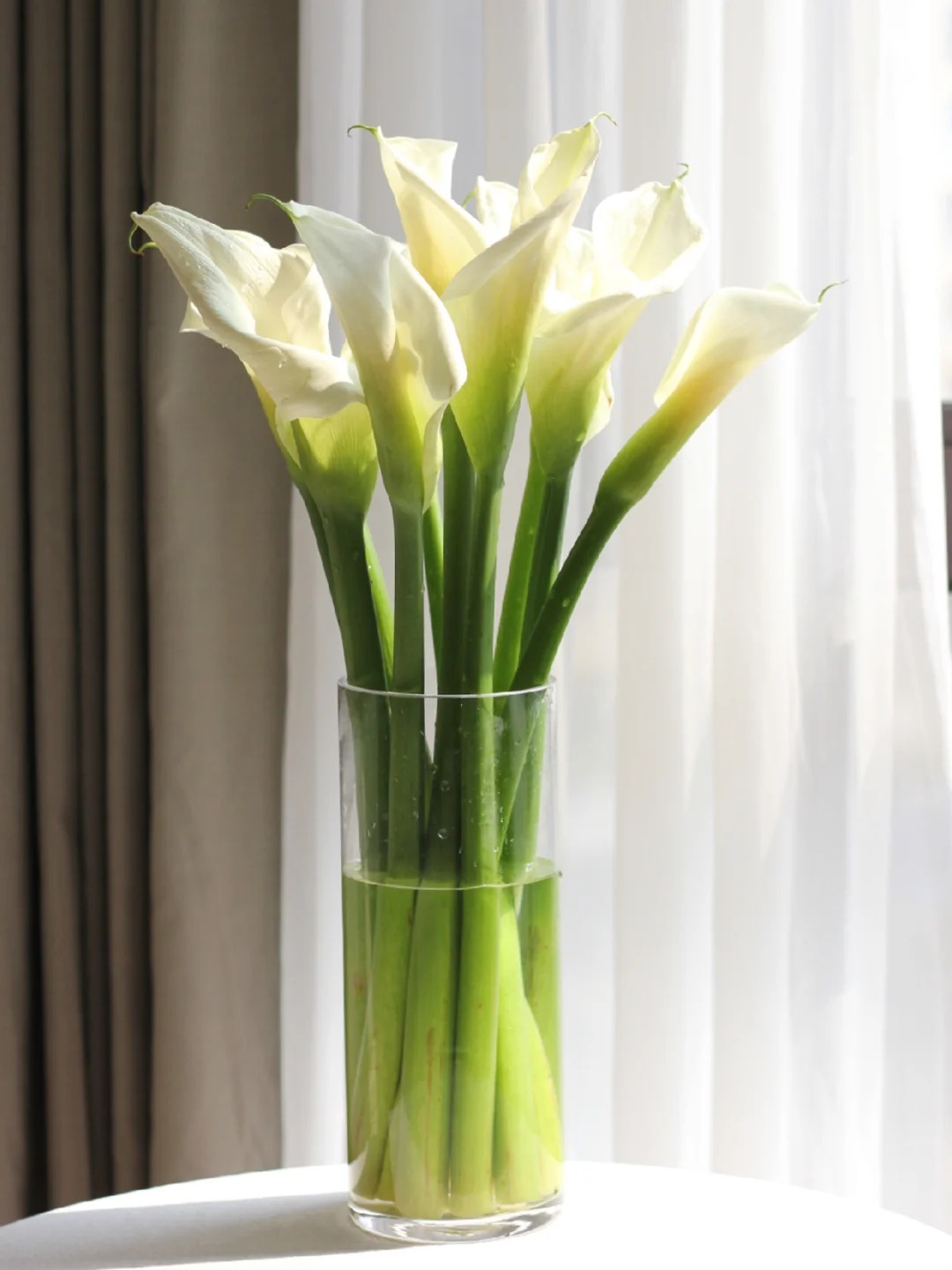 Th&uacute; chơi hoa Tết 2026: Qu&ecirc;n những b&igrave;nh hoa rườm r&agrave; đi, một nắm hoa Rum cắm lọ mới l&agrave; đỉnh cao của sự tinh tế, h&uacute;t lộc cực mạnh- Ảnh 14.