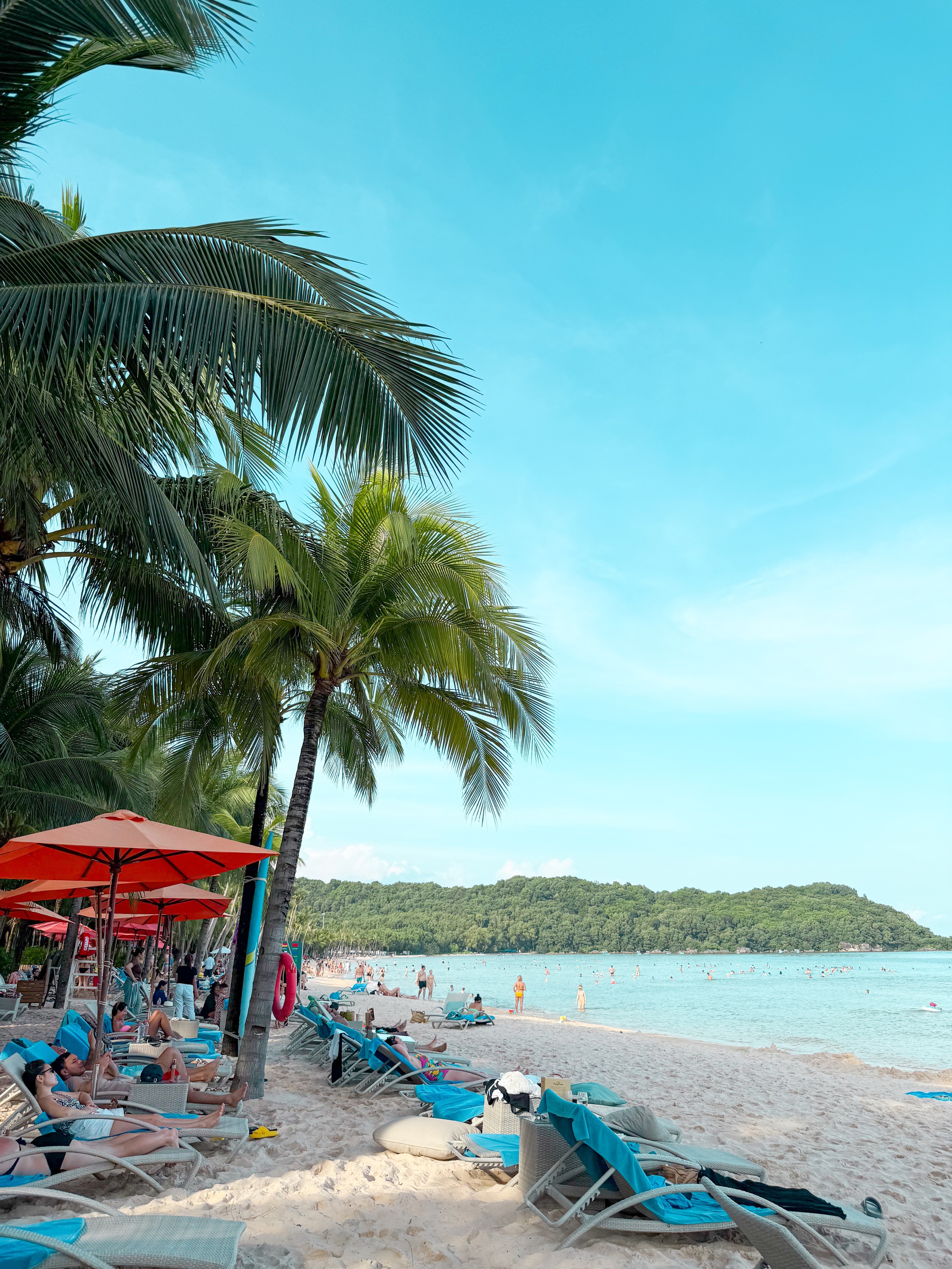 Du khách quốc tế thứ 20 triệu đến Việt Nam được tặng quà 500 triệu, có 2 người khác cũng nhận đặc quyền- Ảnh 3. Du khách quốc tế thứ 20 triệu đến Việt Nam được tặng quà 500 triệu, có 2 người khác cũng nhận đặc quyền- Ảnh 3.