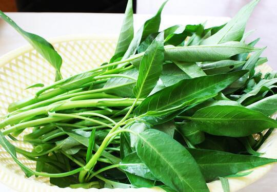 9 loại rau quen thuộc của người Việt dễ ngậm nhiều thuốc trừ sâu nhất, muốn ăn phải biết cách rửa- Ảnh 1. 9 loại rau quen thuộc của người Việt dễ ngậm nhiều thuốc trừ sâu nhất, muốn ăn phải biết cách rửa- Ảnh 1.