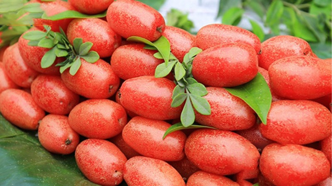 Loại c&acirc;y quen thuộc ở Việt Nam, gi&aacute; rẻ như cho nhưng ra nước ngo&agrave;i c&oacute; gi&aacute; tới 3,5 triệu đồng/c&acirc;y- Ảnh 3.