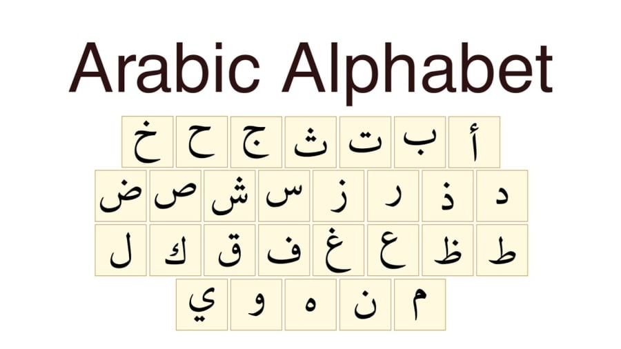 Thứ tiếng được n&oacute;i nhiều thứ 5 thế giới, chữ viết như tranh vẽ: Chỉ 1 trường ở Việt Nam đ&agrave;o tạo nhưng thu nhập l&ecirc;n tới 70 triệu/th&aacute;ng- Ảnh 2.