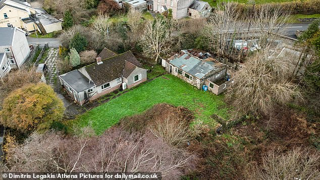 Lo&agrave;i c&acirc;y l&agrave; "&aacute;c mộng kinh ho&agrave;ng" khiến c&aacute;c chủ đất &ldquo;mất ăn mất ngủ&rdquo;: Rễ đ&acirc;m thủng cả b&ecirc; t&ocirc;ng, ph&aacute; hủy hết m&oacute;ng nh&agrave;- Ảnh 1.