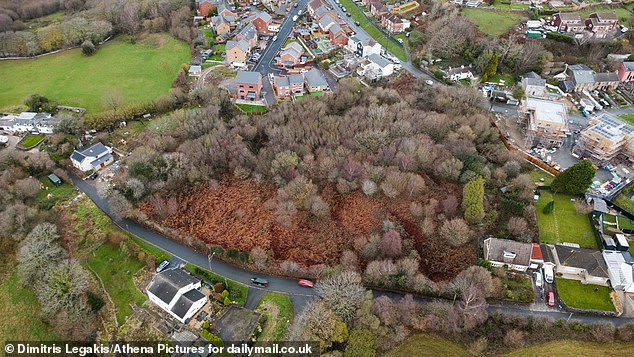 Lo&agrave;i c&acirc;y l&agrave; "&aacute;c mộng kinh ho&agrave;ng" khiến c&aacute;c chủ đất &ldquo;mất ăn mất ngủ&rdquo;: Rễ đ&acirc;m thủng cả b&ecirc; t&ocirc;ng, ph&aacute; hủy hết m&oacute;ng nh&agrave;- Ảnh 3.