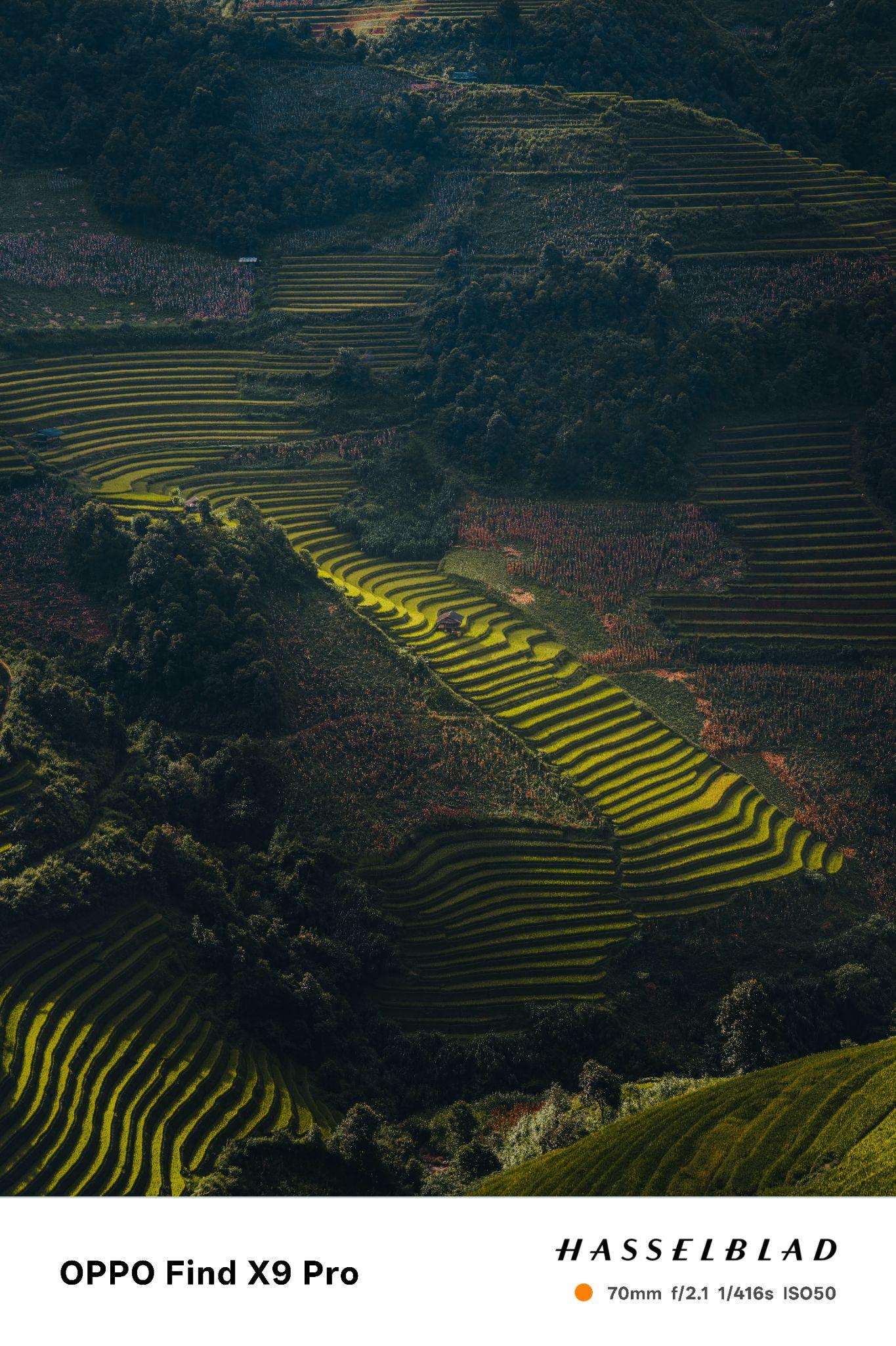 “Zoom Into Vietnam – Để Thấy. Để Thêm Yêu”: Hành trình tìm kiếm những rung cảm quê hương bằng lăng kính OPPO Find X9 Series- Ảnh 3. “Zoom Into Vietnam – Để Thấy. Để Thêm Yêu”: Hành trình tìm kiếm những rung cảm quê hương bằng lăng kính OPPO Find X9 Series- Ảnh 3.