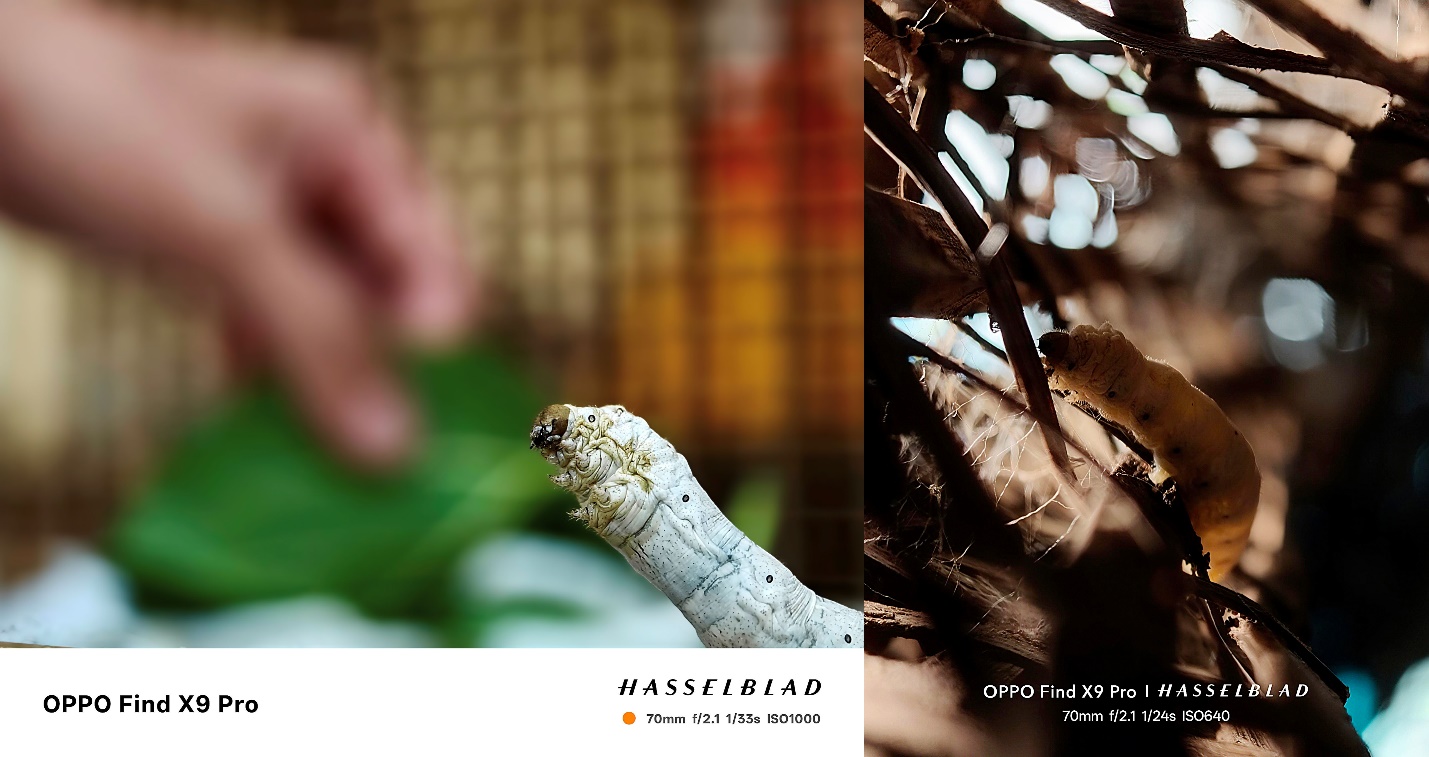 “Zoom Into Vietnam – Để Thấy. Để Thêm Yêu”: Hành trình tìm kiếm những rung cảm quê hương bằng lăng kính OPPO Find X9 Series- Ảnh 4. “Zoom Into Vietnam – Để Thấy. Để Thêm Yêu”: Hành trình tìm kiếm những rung cảm quê hương bằng lăng kính OPPO Find X9 Series- Ảnh 4.