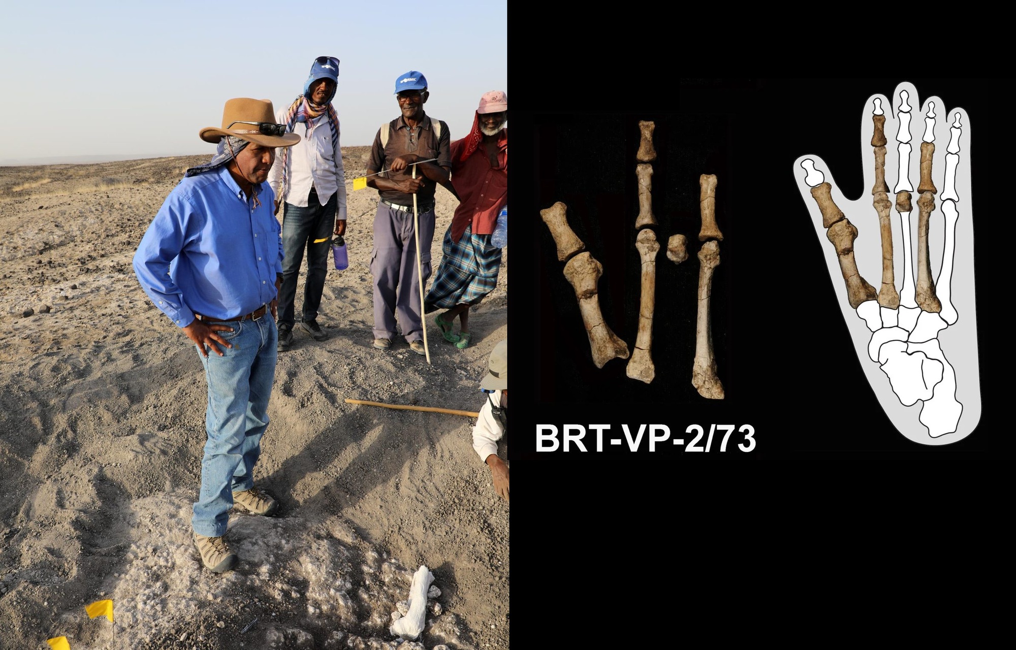 Bàn chân 3,4 triệu tuổi làm thay đổi lịch sử loài người- Ảnh 1. Bàn chân 3,4 triệu tuổi làm thay đổi lịch sử loài người- Ảnh 1.