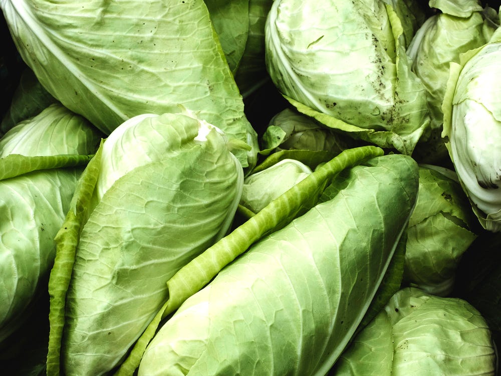 Năm 2026 sẽ l&agrave; năm của bắp cải: Từ m&acirc;m cơm qu&ecirc; đến b&agrave;n ăn hiện đại - v&igrave; sao bắp cải đang được y&ecirc;u th&iacute;ch trở lại?- Ảnh 1.