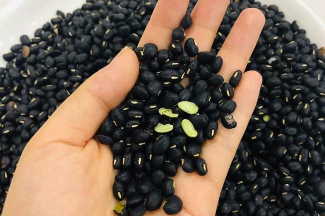 Chị em nào ăn đậu đen mà VỨT BỎ phần này thì đừng mong tăng sinh collagen, dưỡng da, chống lão hóa- Ảnh 1. Chị em nào ăn đậu đen mà VỨT BỎ phần này thì đừng mong tăng sinh collagen, dưỡng da, chống lão hóa- Ảnh 1.