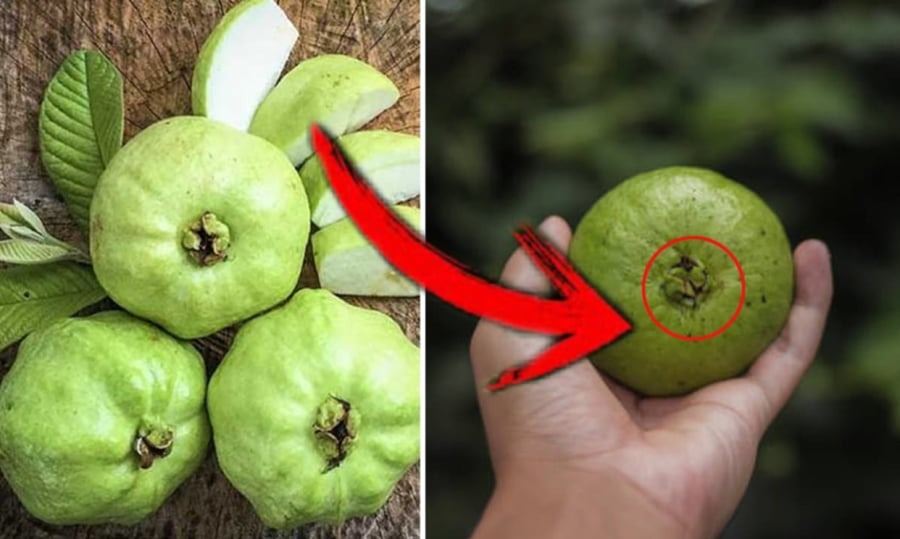 Quả quen mặt ở chợ Việt lọt top 