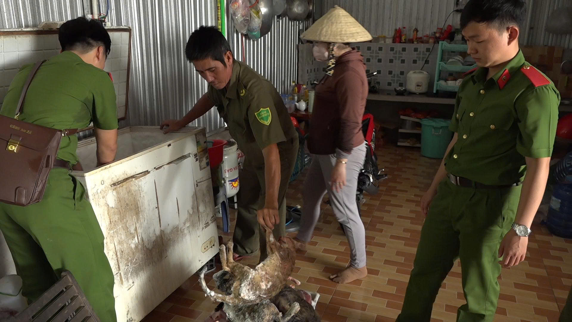 Diễn biến mới vụ ớn lạnh bên trong kho chứa mèo ở Đồng Tháp- Ảnh 3.