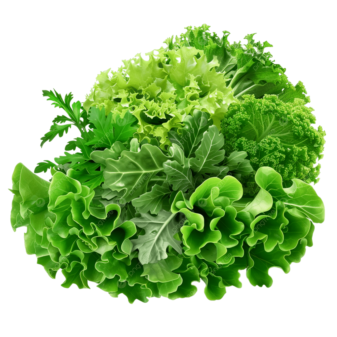 Loại rau được mệnh danh &ldquo;tốt nhất thế giới&rdquo; ở Việt Nam lại rẻ b&egrave;o, b&aacute;n đầy chợ- Ảnh 3.