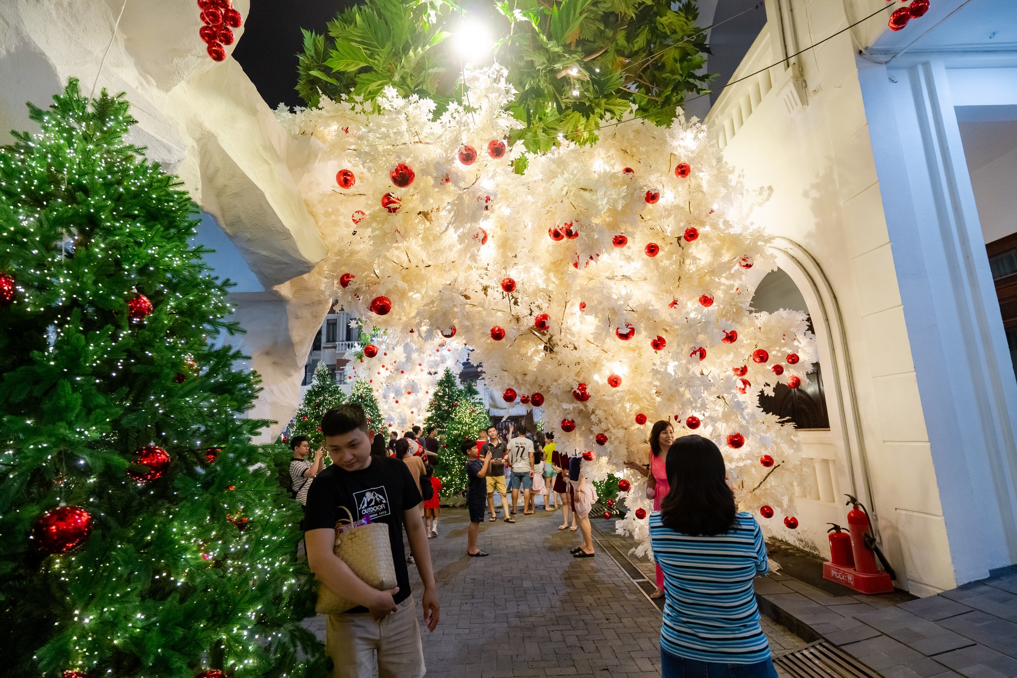 VIDEO: Nh&agrave; thờ ở TPHCM g&acirc;y "sốt" với h&agrave;ng chục c&acirc;y th&ocirc;ng Gi&aacute;ng sinh- Ảnh 20.
