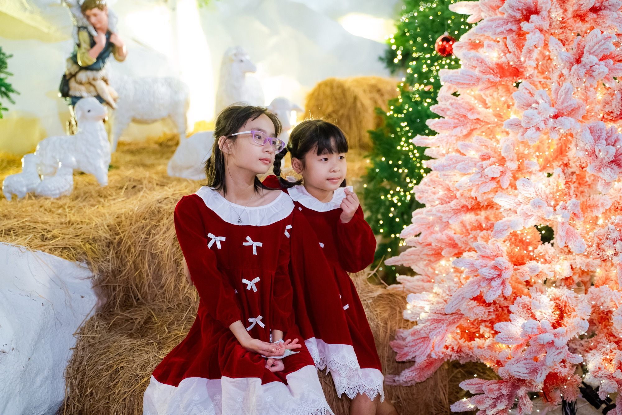 VIDEO: Nh&agrave; thờ ở TPHCM g&acirc;y "sốt" với h&agrave;ng chục c&acirc;y th&ocirc;ng Gi&aacute;ng sinh- Ảnh 17.