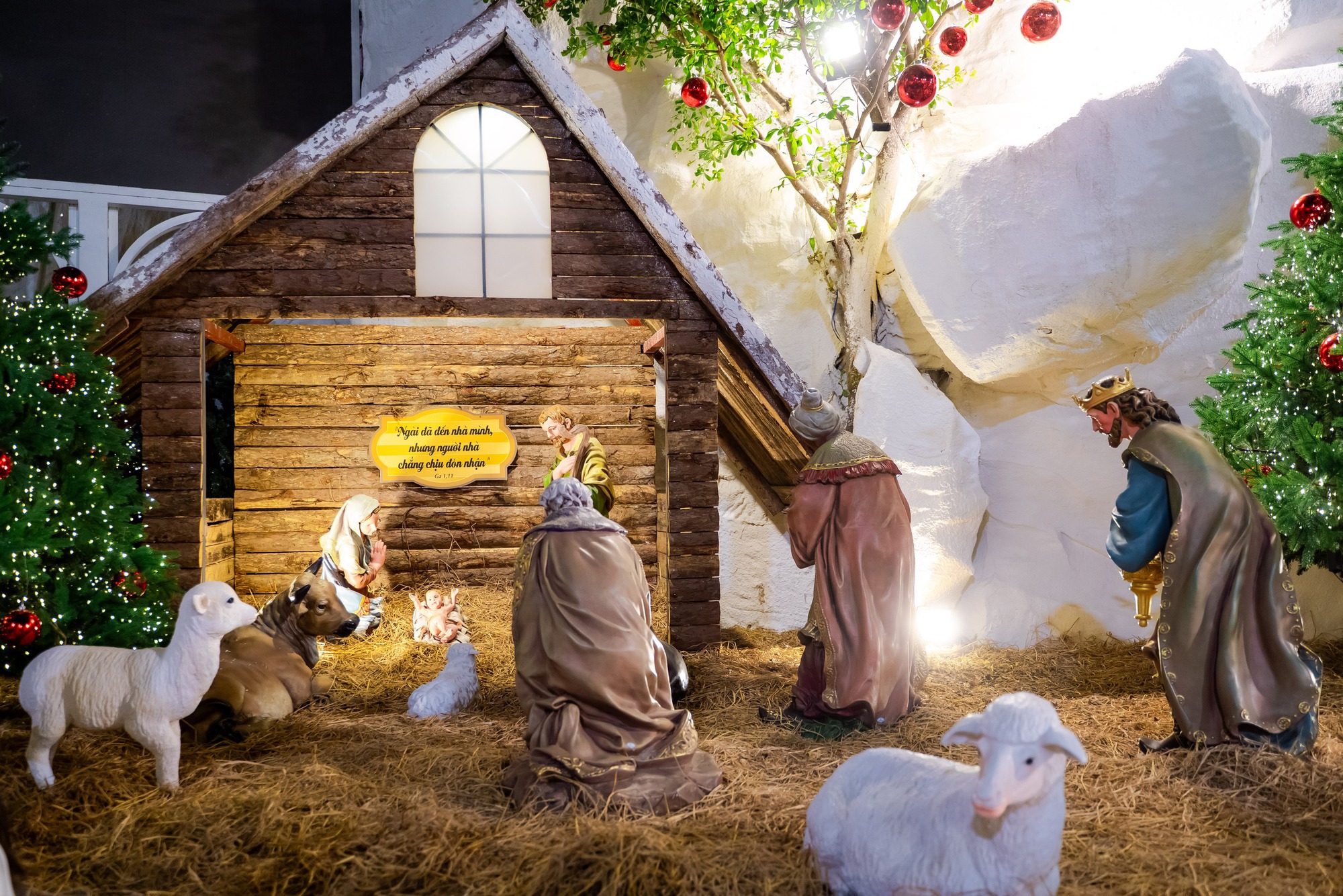 VIDEO: Nh&agrave; thờ ở TPHCM g&acirc;y "sốt" với h&agrave;ng chục c&acirc;y th&ocirc;ng Gi&aacute;ng sinh- Ảnh 9.