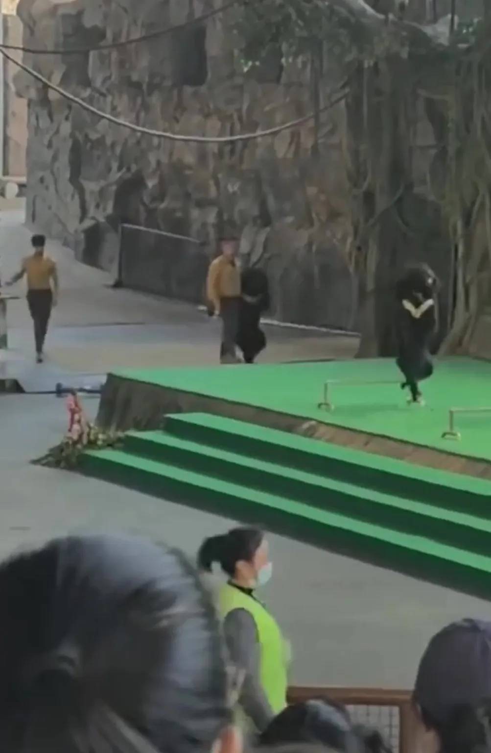 Kinh ho&agrave;ng khoảnh khắc gấu đen tấn c&ocirc;ng huấn luyện vi&ecirc;n trong sở th&uacute;- Ảnh 1.