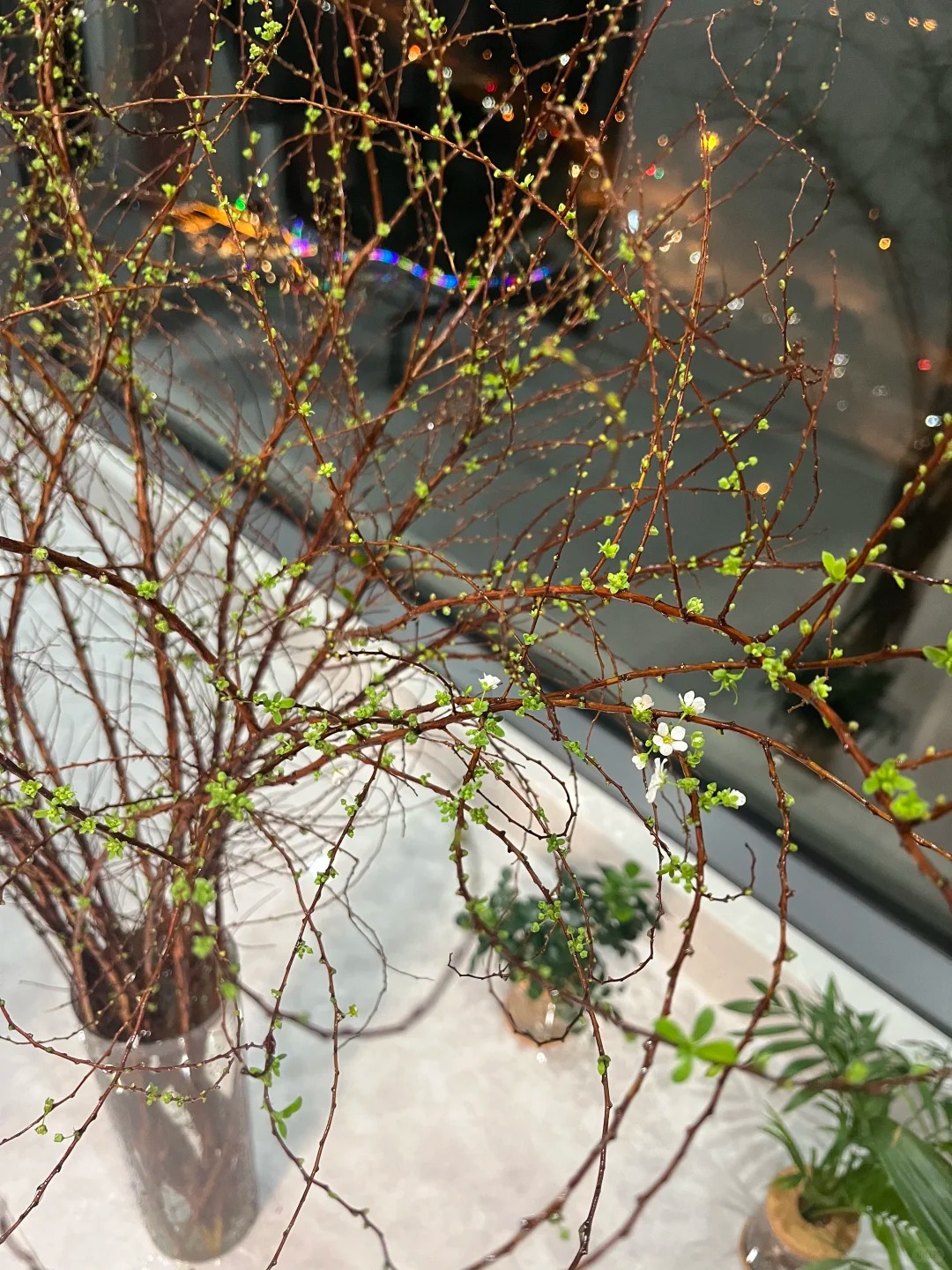 Th&uacute; chơi hoa 