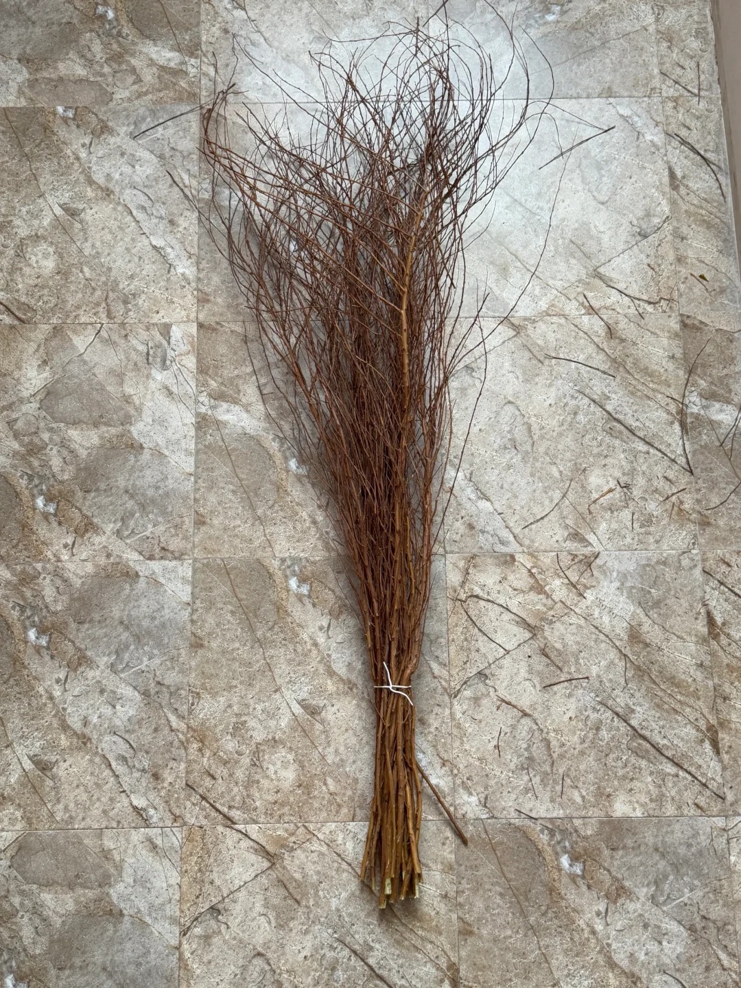 Th&uacute; chơi hoa 