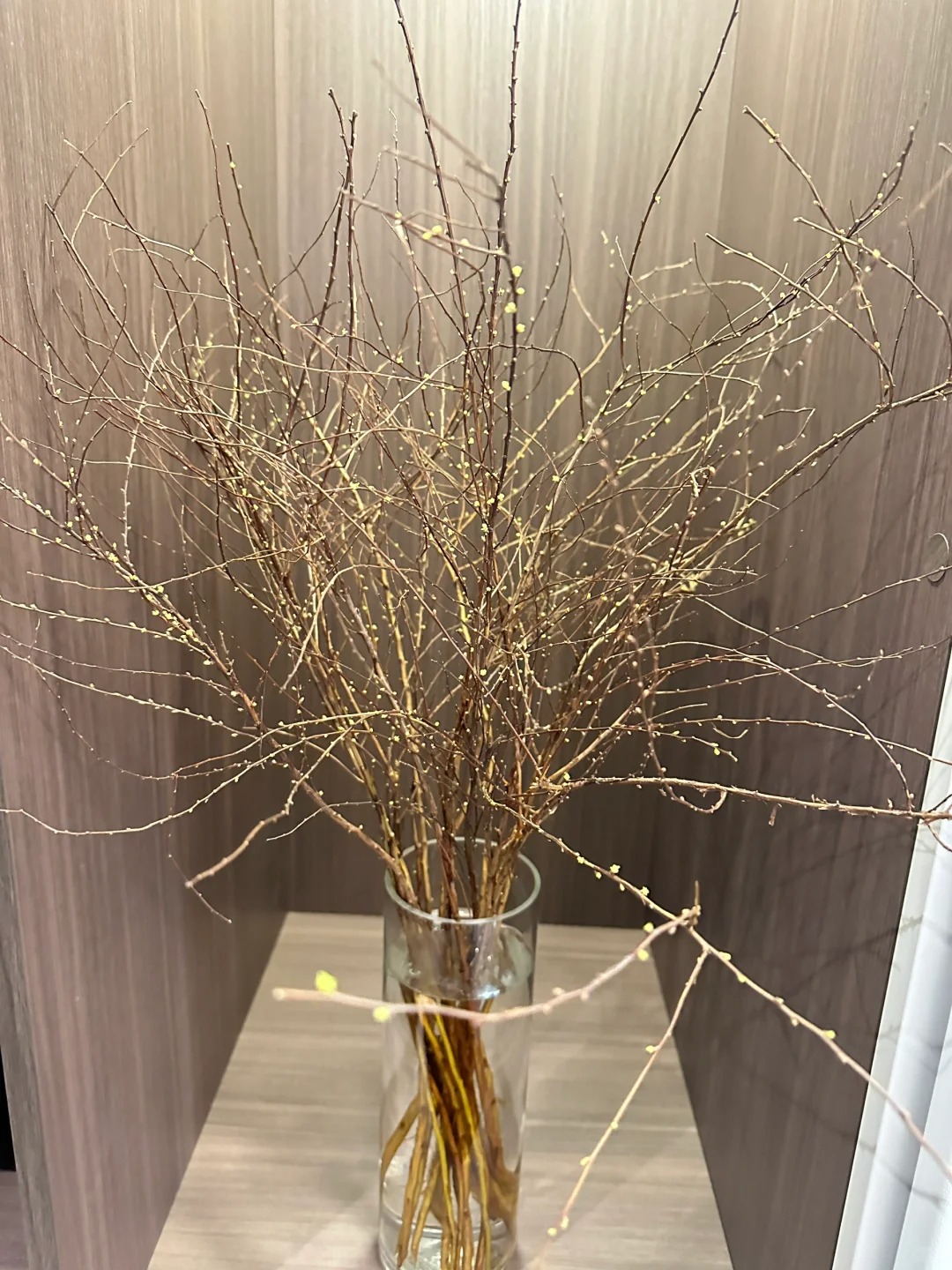 Th&uacute; chơi hoa 