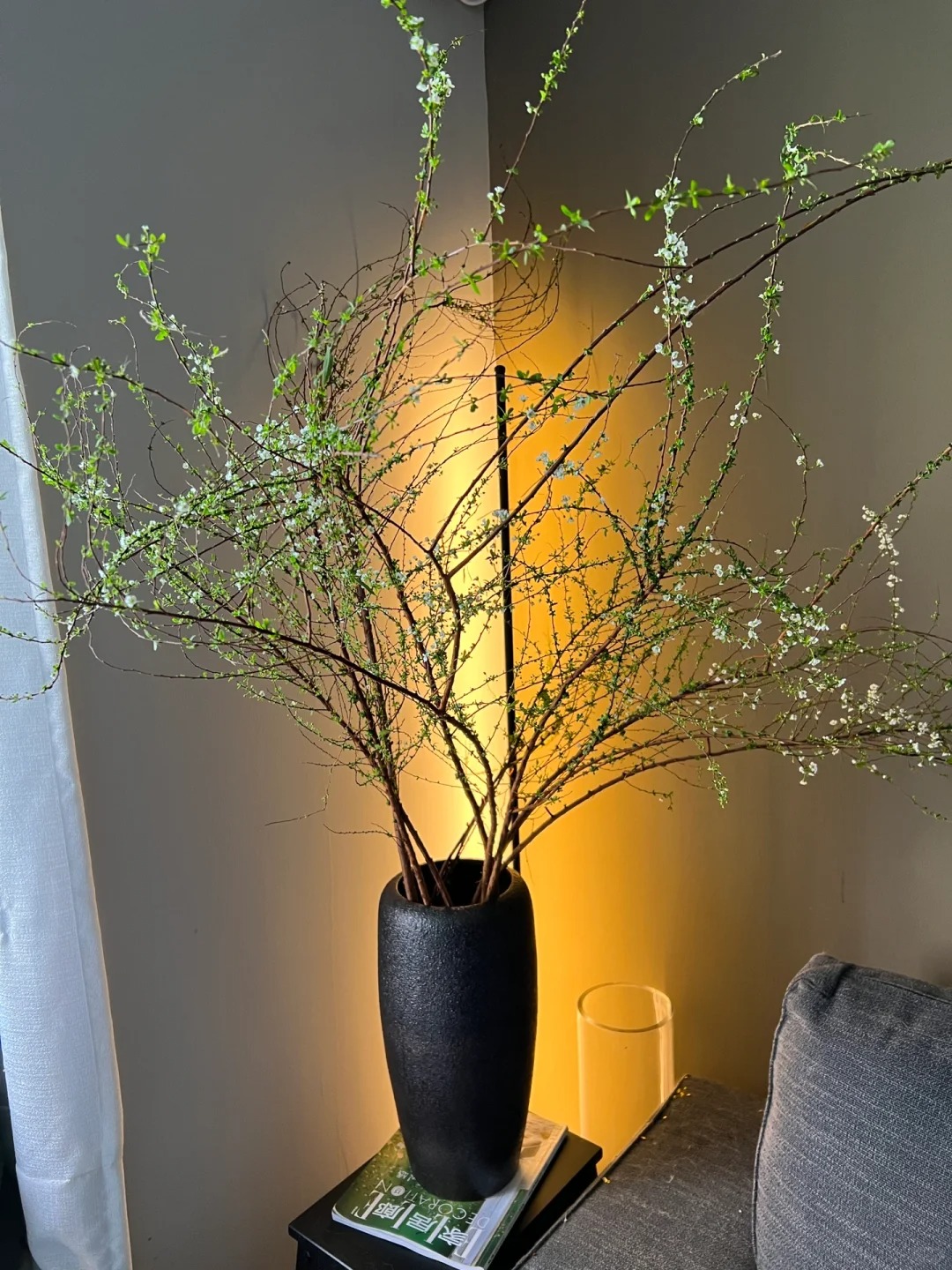 Th&uacute; chơi hoa 