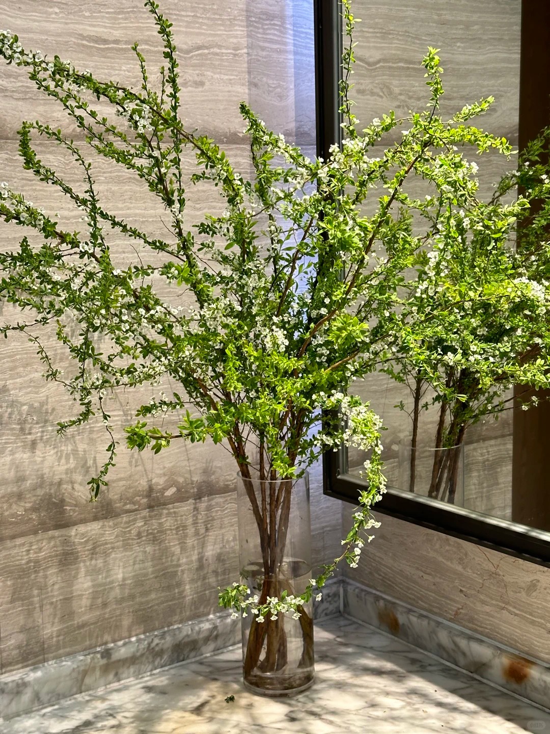 Th&uacute; chơi hoa 