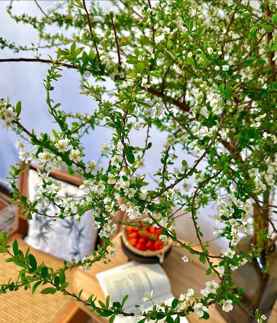 Th&uacute; chơi hoa 