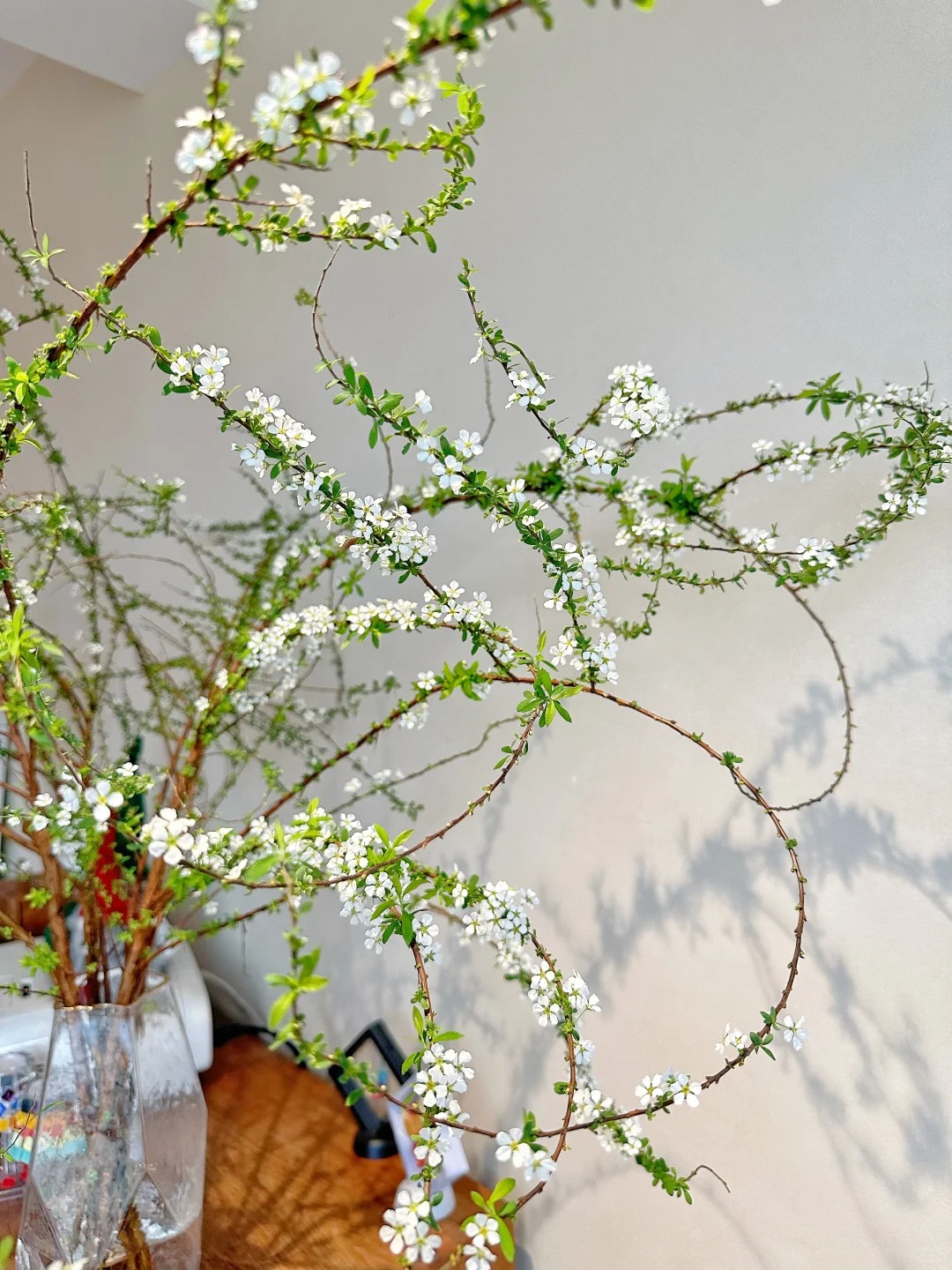 Th&uacute; chơi hoa 