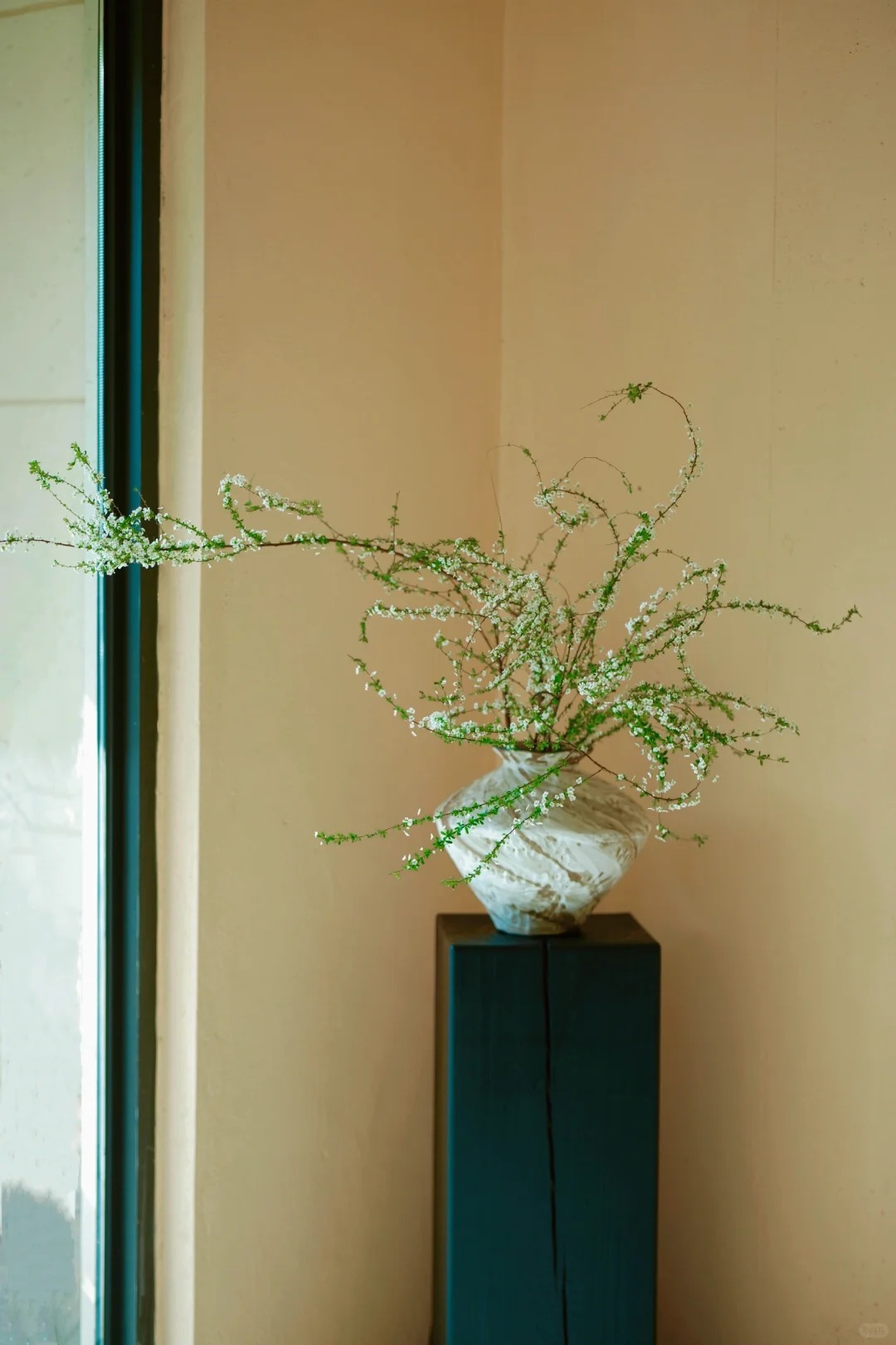 Th&uacute; chơi hoa 