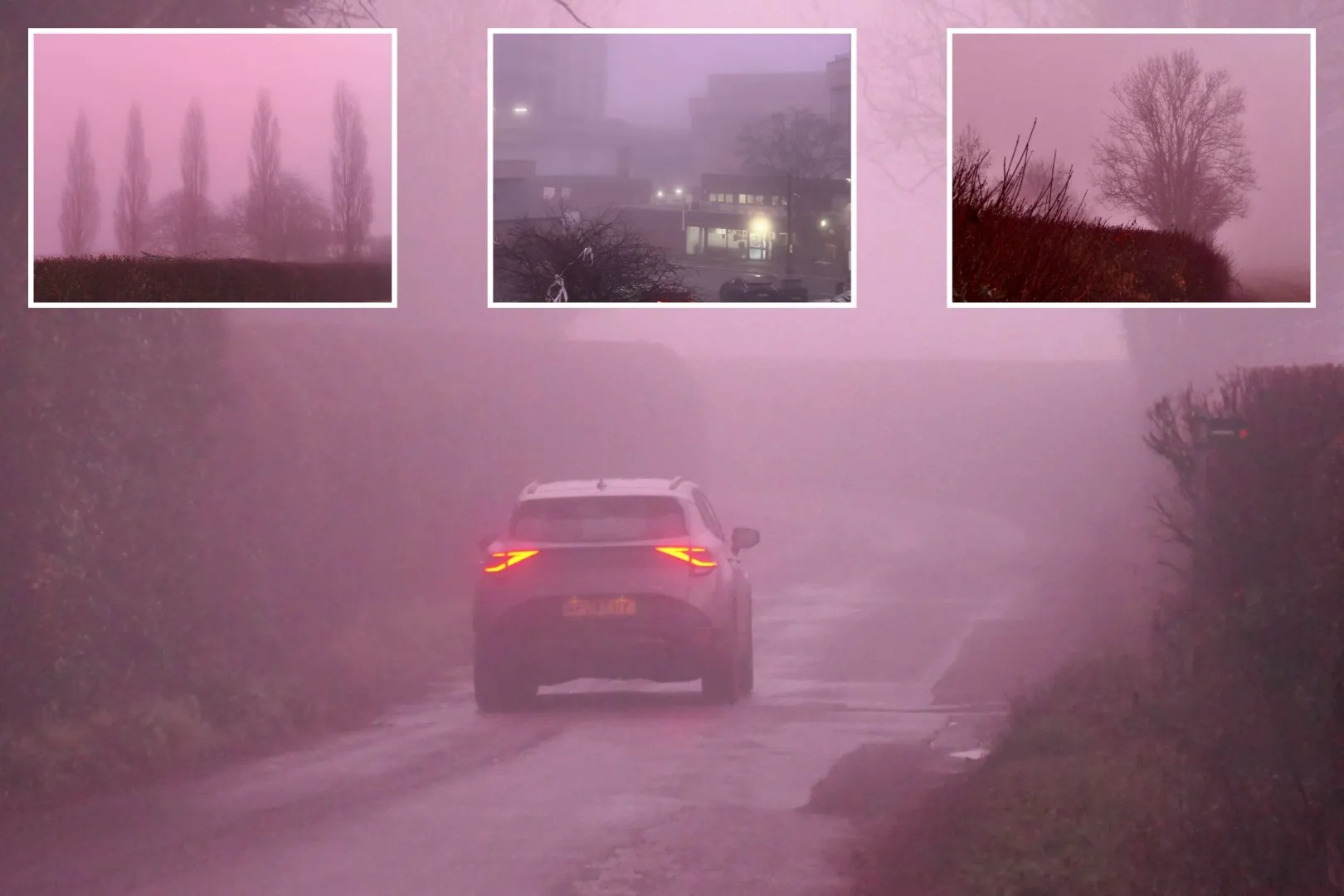 Hiện tượng lạ: Sương m&ugrave; m&agrave;u hồng khiến người d&acirc;n kinh ngạc- Ảnh 1.