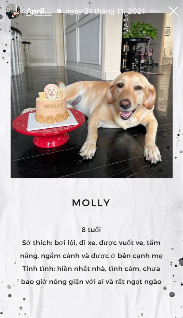 Chia buồn cùng Tăng Thanh Hà- Ảnh 5. Chia buồn cùng Tăng Thanh Hà- Ảnh 5.