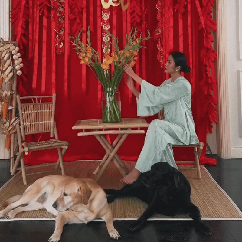 Khoảnh khắc nhớ m&atilde;i của Tăng Thanh H&agrave;- Ảnh 7.