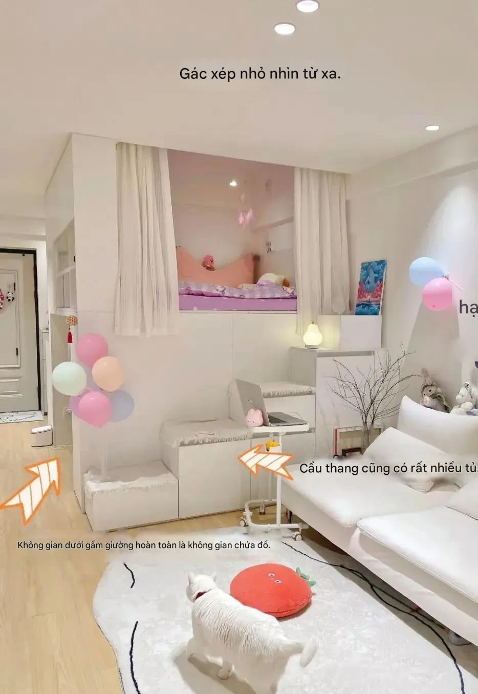 Căn nhà 18m² khiến ai nhìn cũng nể: Gọn đến khó tin, sách giáo khoa xin thua cuộc- Ảnh 3. Căn nhà 18m² khiến ai nhìn cũng nể: Gọn đến khó tin, sách giáo khoa xin thua cuộc- Ảnh 3.