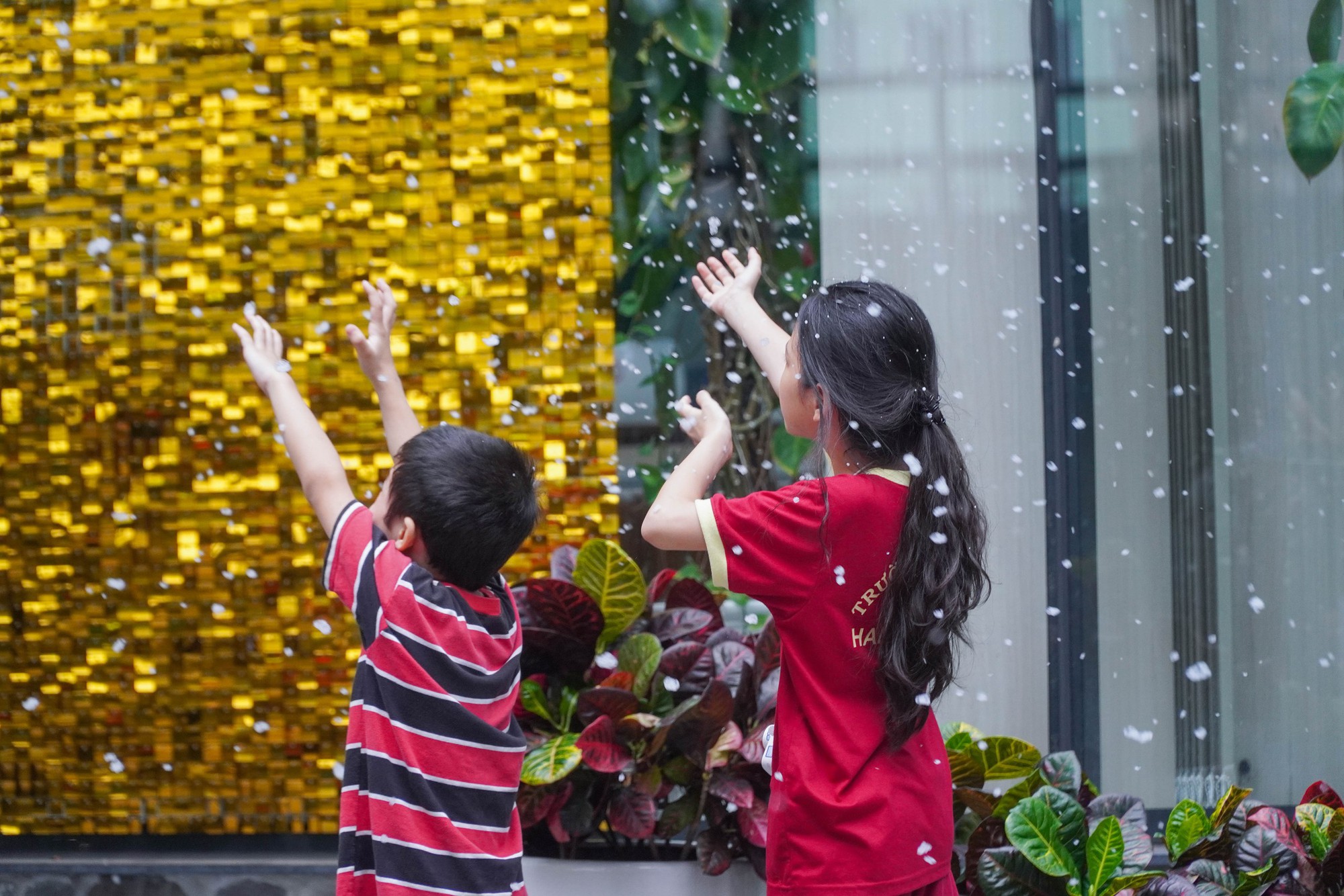 Vừa bảo vệ khóa luận xong, sinh viên ngỡ ngàng đón "tuyết rơi" giữa sân trường- Ảnh 10. Vừa bảo vệ khóa luận xong, sinh viên ngỡ ngàng đón "tuyết rơi" giữa sân trường- Ảnh 10.