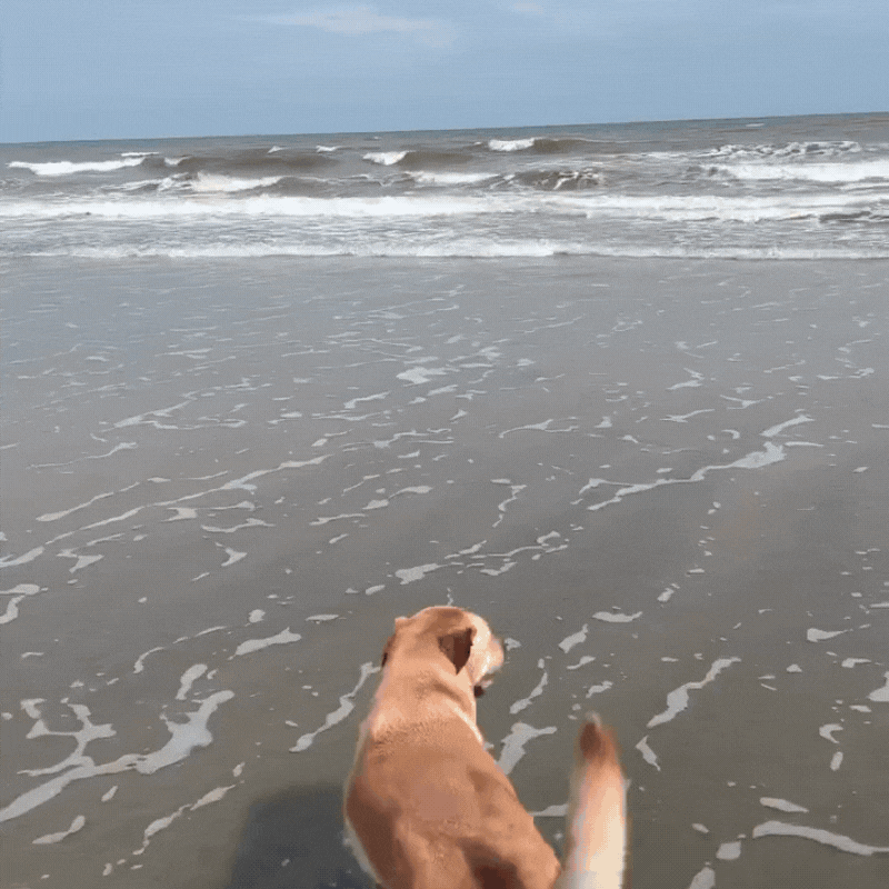 Khoảnh khắc nhớ m&atilde;i của Tăng Thanh H&agrave;- Ảnh 6.