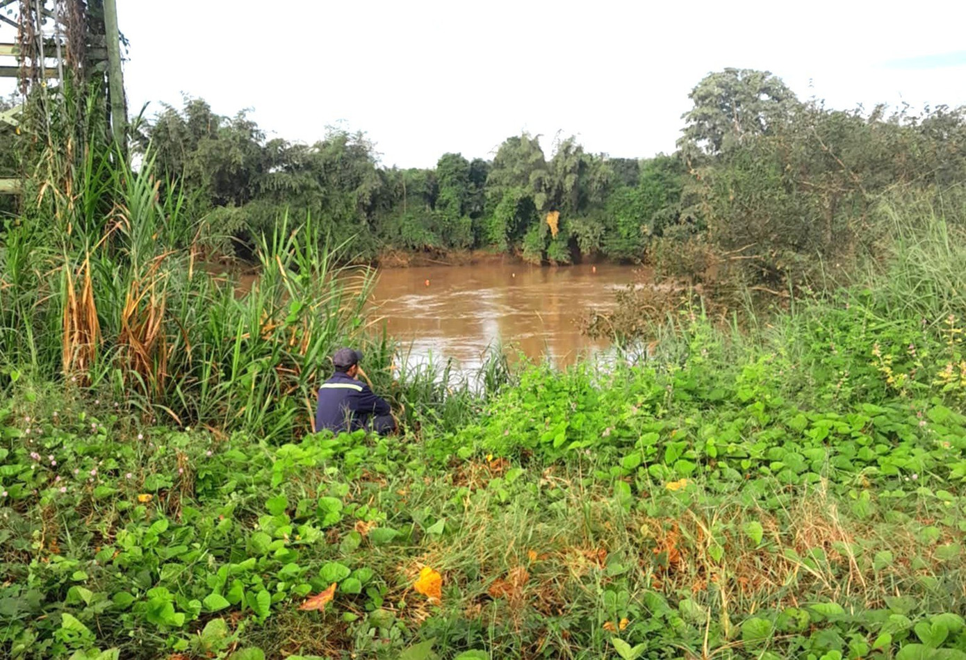Hai b&eacute; g&aacute;i tử vong bất thường b&ecirc;n bờ s&ocirc;ng ở T&acirc;y Ninh- Ảnh 1.