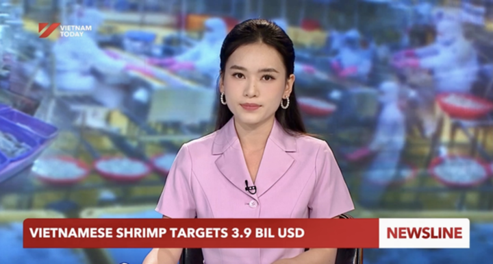 Học vấn đ&aacute;ng nể của 4 BTV Vietnam Today xuất th&acirc;n Học viện Ngoại giao- Ảnh 3.