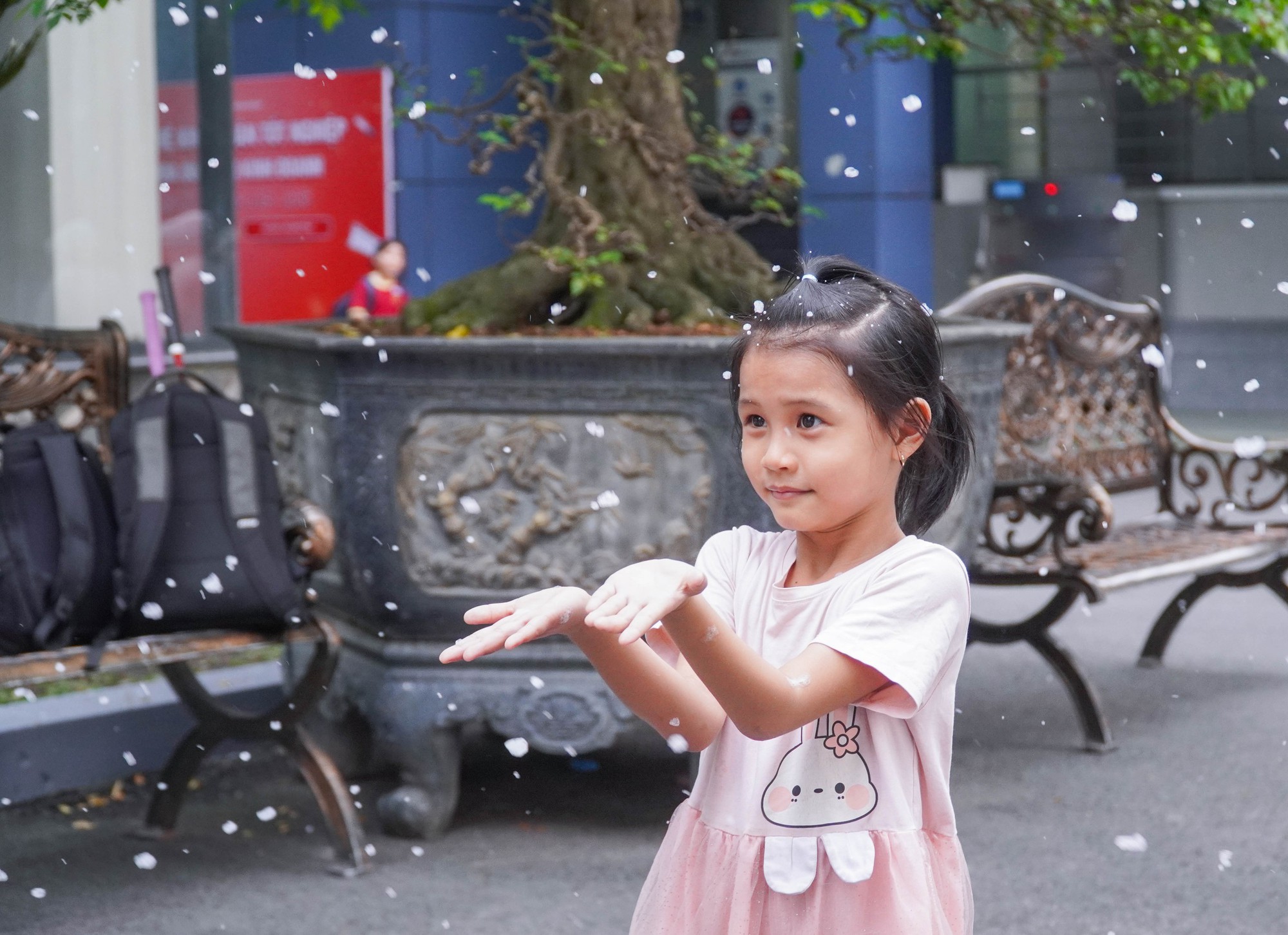 Vừa bảo vệ khóa luận xong, sinh viên ngỡ ngàng đón "tuyết rơi" giữa sân trường- Ảnh 12. Vừa bảo vệ khóa luận xong, sinh viên ngỡ ngàng đón "tuyết rơi" giữa sân trường- Ảnh 12.