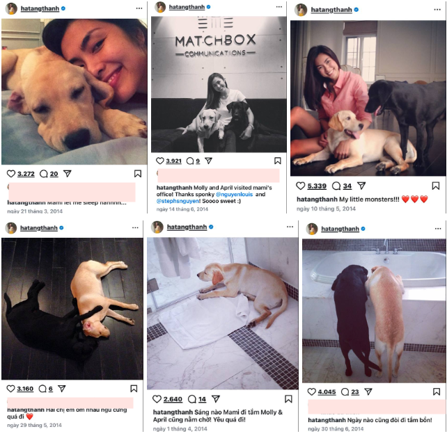 Khoảnh khắc nhớ m&atilde;i của Tăng Thanh H&agrave;- Ảnh 2.