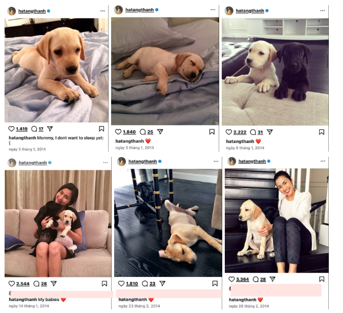 Khoảnh khắc nhớ m&atilde;i của Tăng Thanh H&agrave;- Ảnh 1.