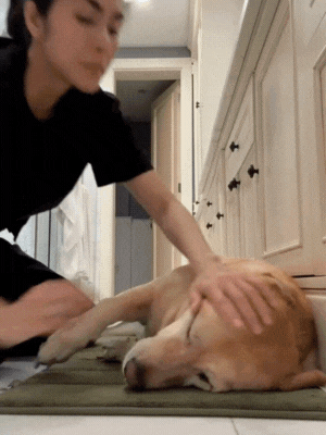 Chia buồn cùng Tăng Thanh Hà- Ảnh 1. Chia buồn cùng Tăng Thanh Hà- Ảnh 1.