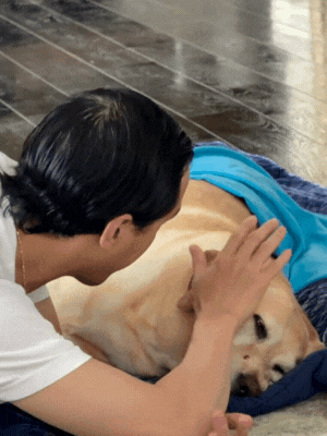 Chia buồn cùng Tăng Thanh Hà- Ảnh 3. Chia buồn cùng Tăng Thanh Hà- Ảnh 3.