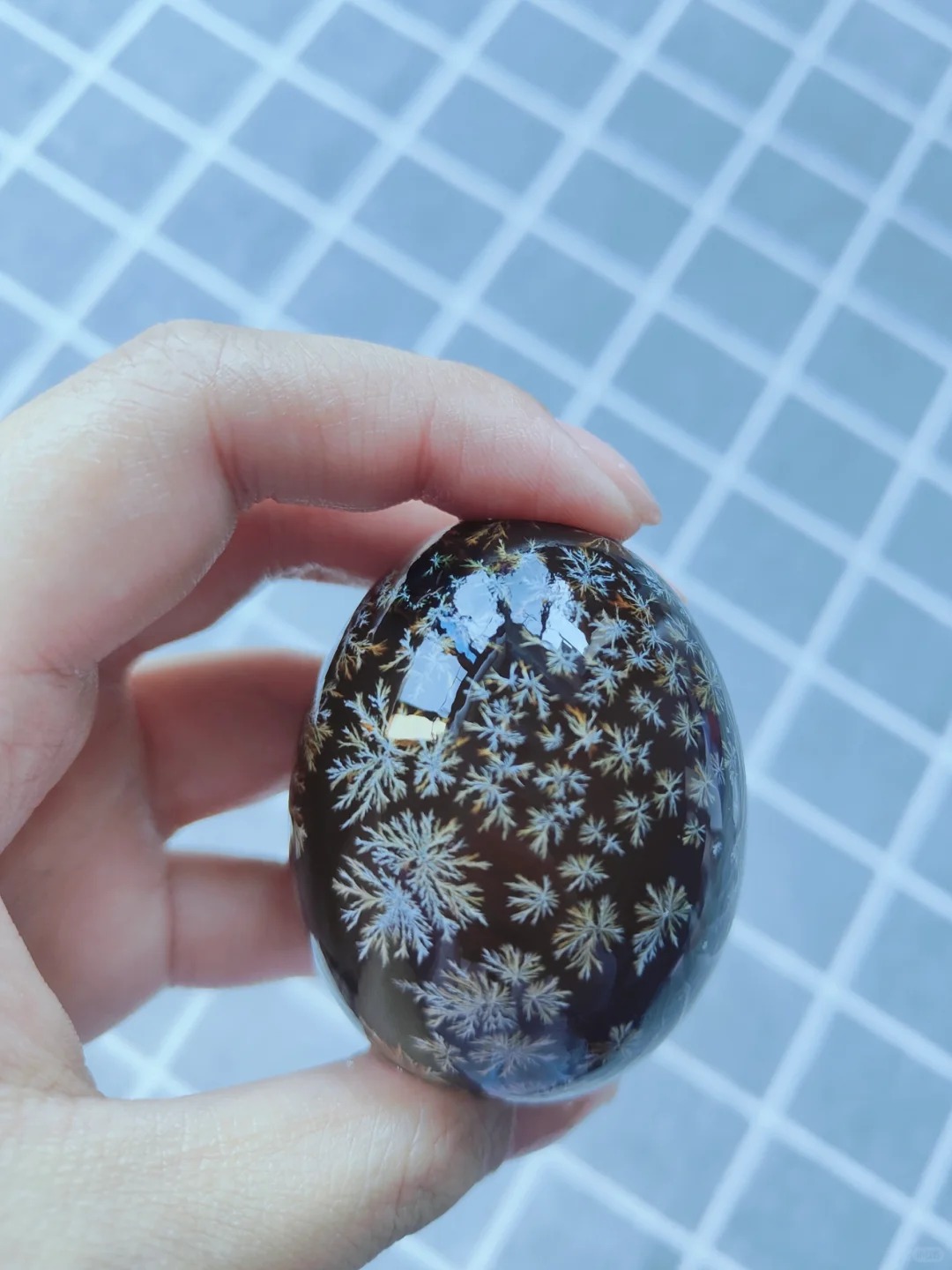 Giải m&atilde; thứ "kinh dị" lại h&oacute;a th&agrave;nh vi&ecirc;n ngọc hổ ph&aacute;ch tr&ecirc;n b&agrave;n tiệc ng&agrave;y Tết- Ảnh 15.