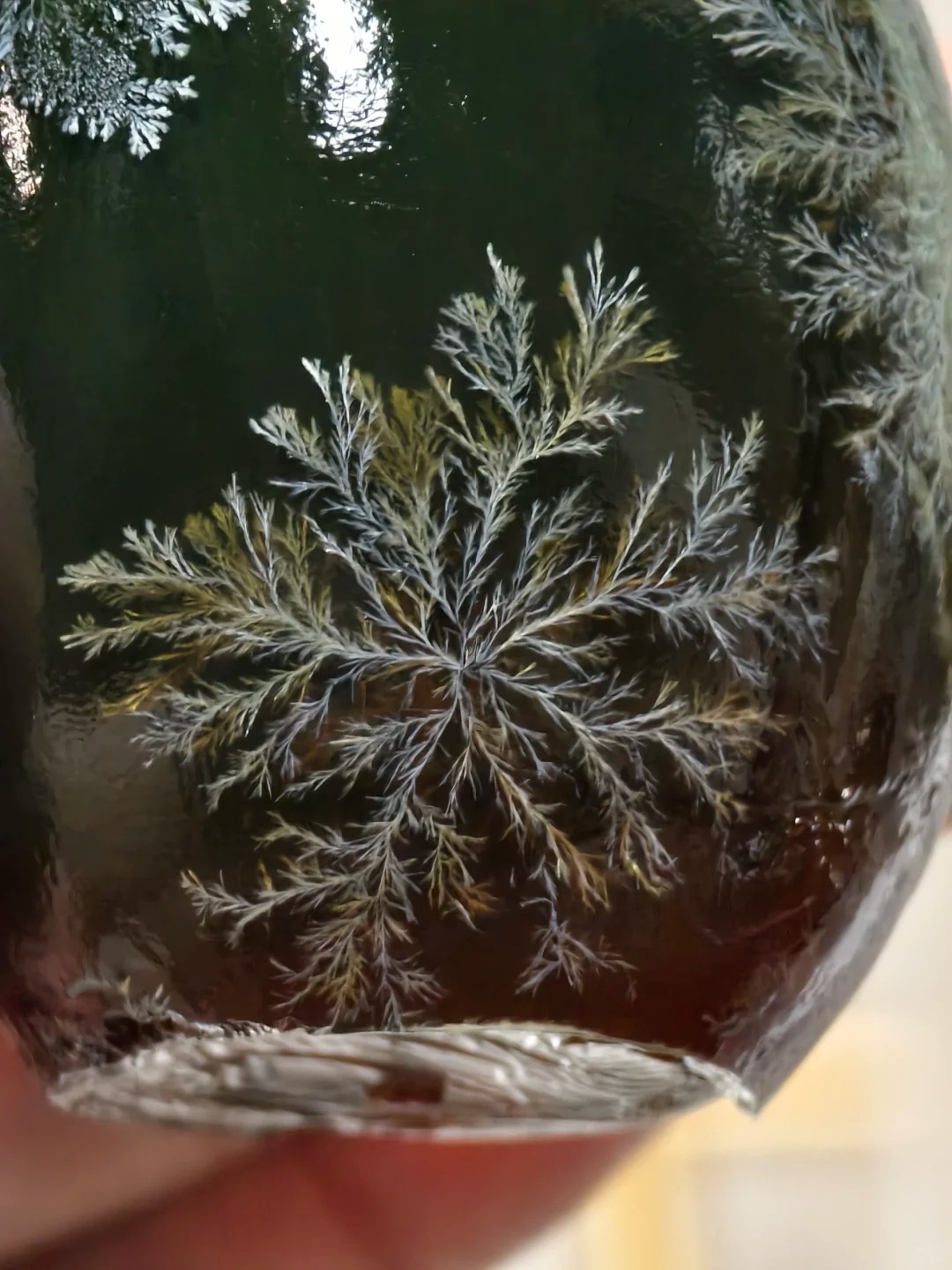 Giải m&atilde; thứ "kinh dị" lại h&oacute;a th&agrave;nh vi&ecirc;n ngọc hổ ph&aacute;ch tr&ecirc;n b&agrave;n tiệc ng&agrave;y Tết- Ảnh 17.