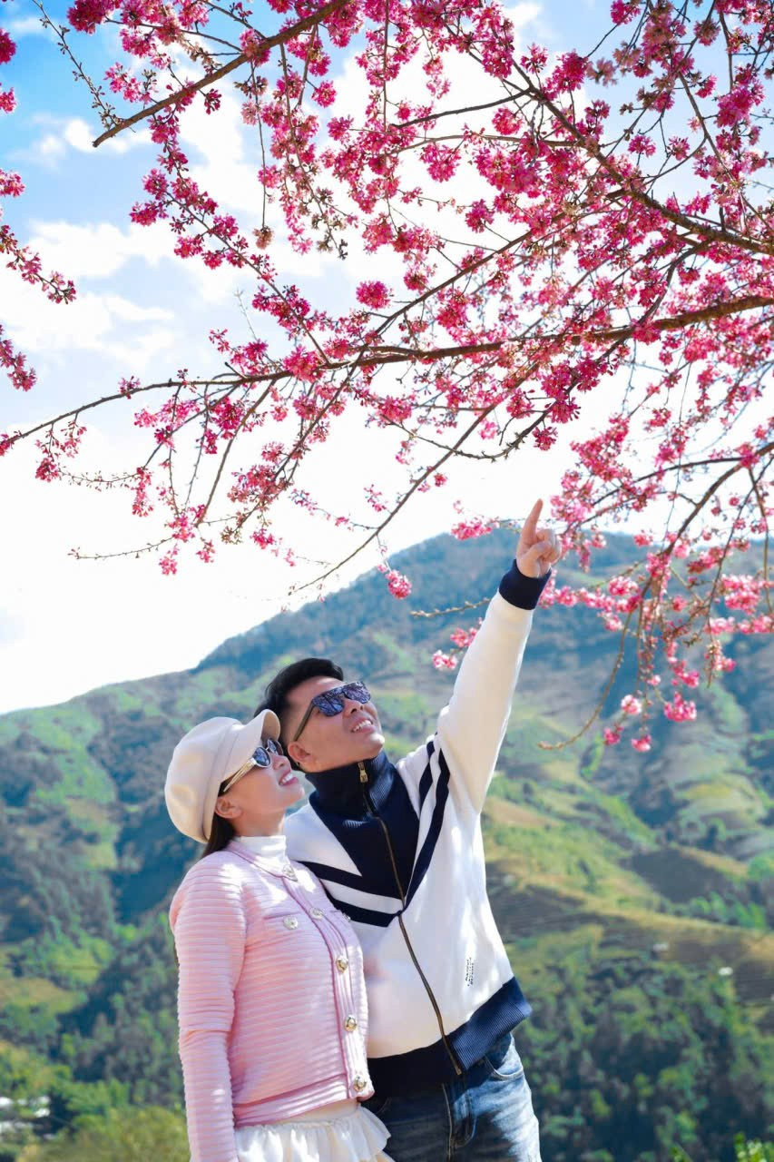 Lo&agrave;i hoa b&aacute;o Tết của người H'M&ocirc;ng bung nở khắp n&uacute;i rừng- Ảnh 6.