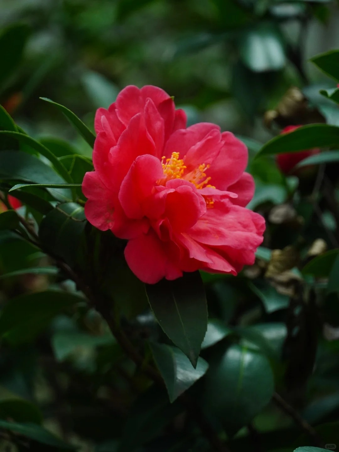 Tết 2026 chơi g&igrave; cho 