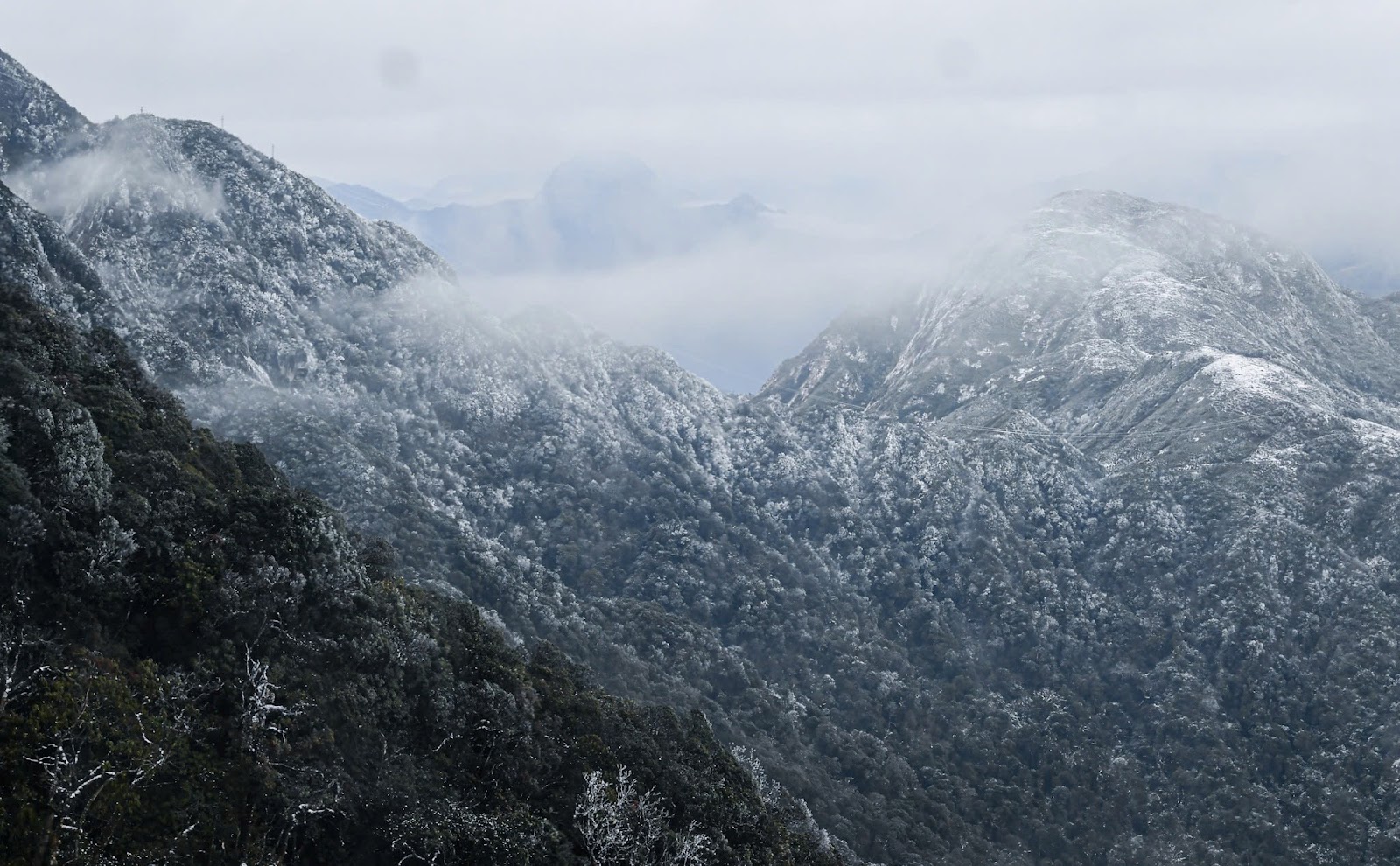 Cảnh tượng tuyết phủ trắng n&oacute;c nh&agrave;, lối đi ở Fansipan đầu năm nay: D&acirc;n t&igrave;nh c&agrave;ng hừng hực kh&iacute; thế đi 