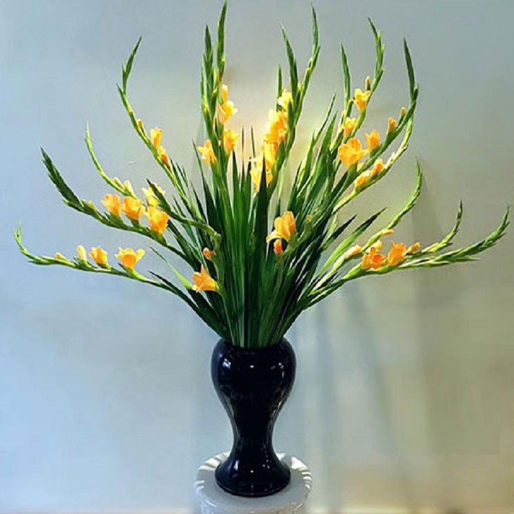 M&ugrave;ng 1 c&uacute;ng 5 lo&agrave;i hoa n&agrave;y: Bề tr&ecirc;n h&agrave;i l&ograve;ng, hanh th&ocirc;ng cả th&aacute;ng- Ảnh 3.