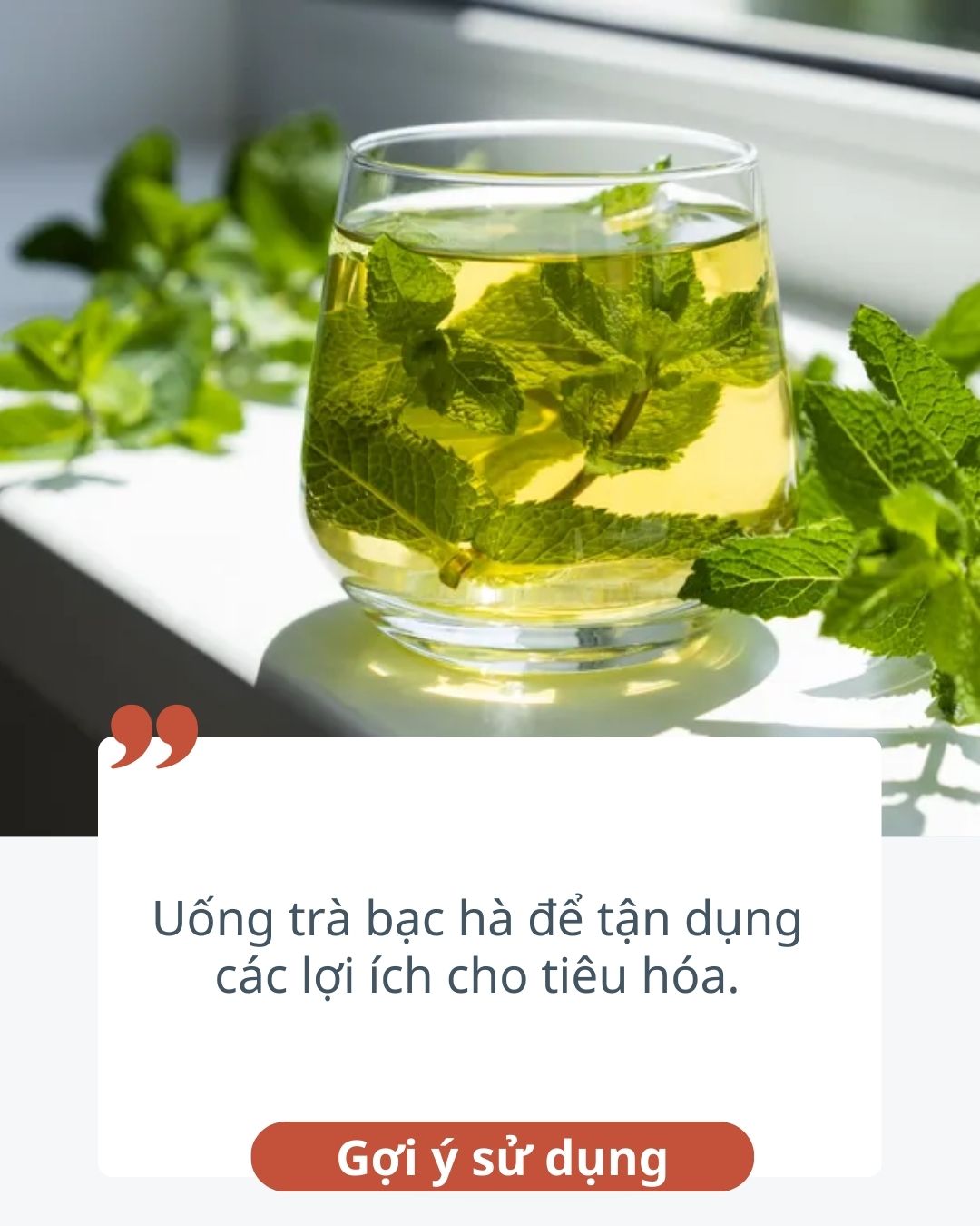 10 thực phẩm hỗ trợ ti&ecirc;u h&oacute;a c&ograve;n tốt hơn cả gừng, ai 