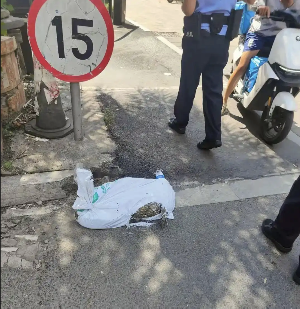 Nhận 97.000 đồng để giao... 1 con cá sấu, shipper gặp nguy khi đơn hàng bất ngờ sống dậy giữa đường đi- Ảnh 5. Nhận 97.000 đồng để giao... 1 con cá sấu, shipper gặp nguy khi đơn hàng bất ngờ sống dậy giữa đường đi- Ảnh 5.