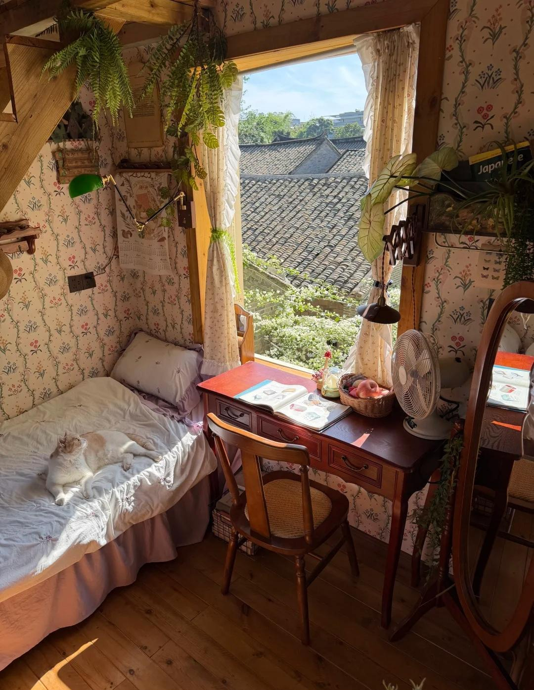 Cụ b&agrave; 70 tuổi thầm lặng sống trong căn nh&agrave; nhỏ: Tự chăm s&oacute;c bản th&acirc;n, kh&ocirc;ng l&agrave;m g&aacute;nh nặng cho con ch&aacute;u- Ảnh 2.