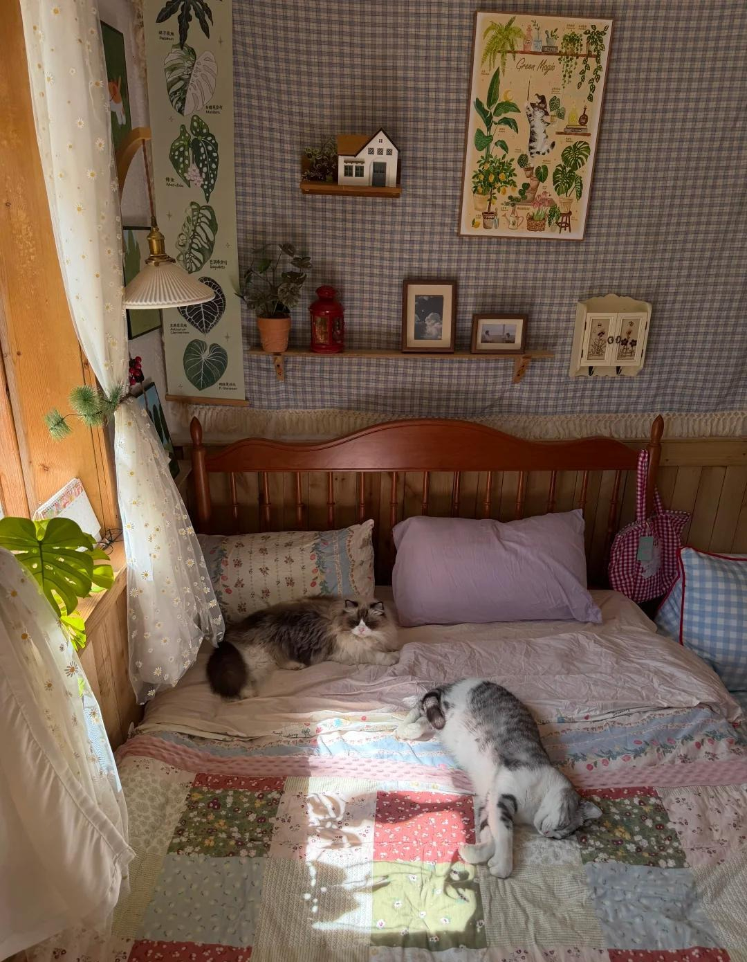 Cụ b&agrave; 70 tuổi thầm lặng sống trong căn nh&agrave; nhỏ: Tự chăm s&oacute;c bản th&acirc;n, kh&ocirc;ng l&agrave;m g&aacute;nh nặng cho con ch&aacute;u- Ảnh 3.